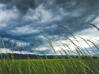 Tempo esta semana: ventania, calor e chuviscos