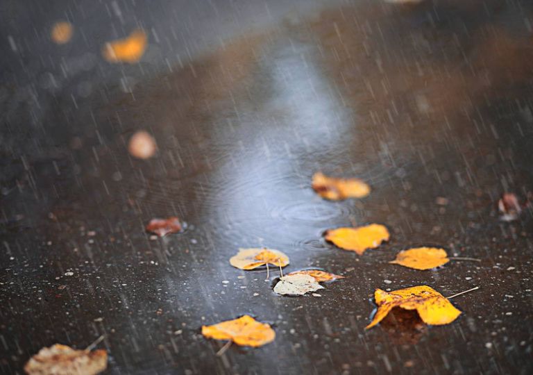 chuva; outono; chuva; outono;