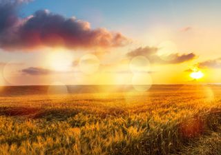 Tempo firme e ensolarado continua, mudança somente no final da semana