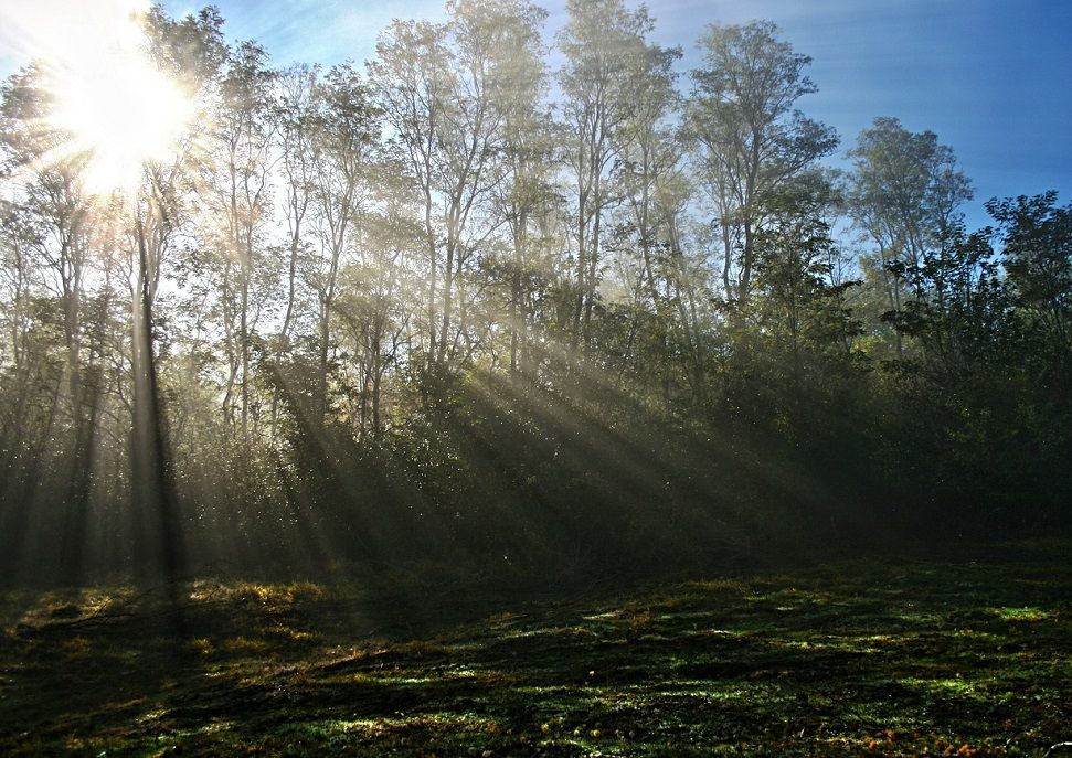 Tempo in miglioramento... quasi ovunque