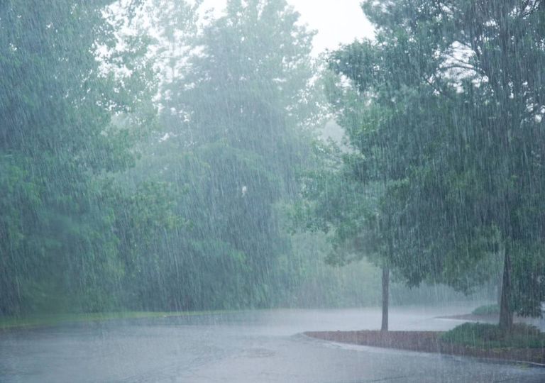 chuva; vento; chuva; vento;