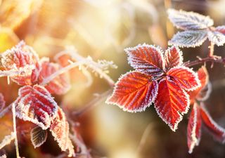 Tempo no fim de semana: continua seco e o frio começa a ganhar terreno