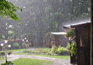 Tempo para amanhã em Portugal: mais frio graças ao ar polar e com chuva