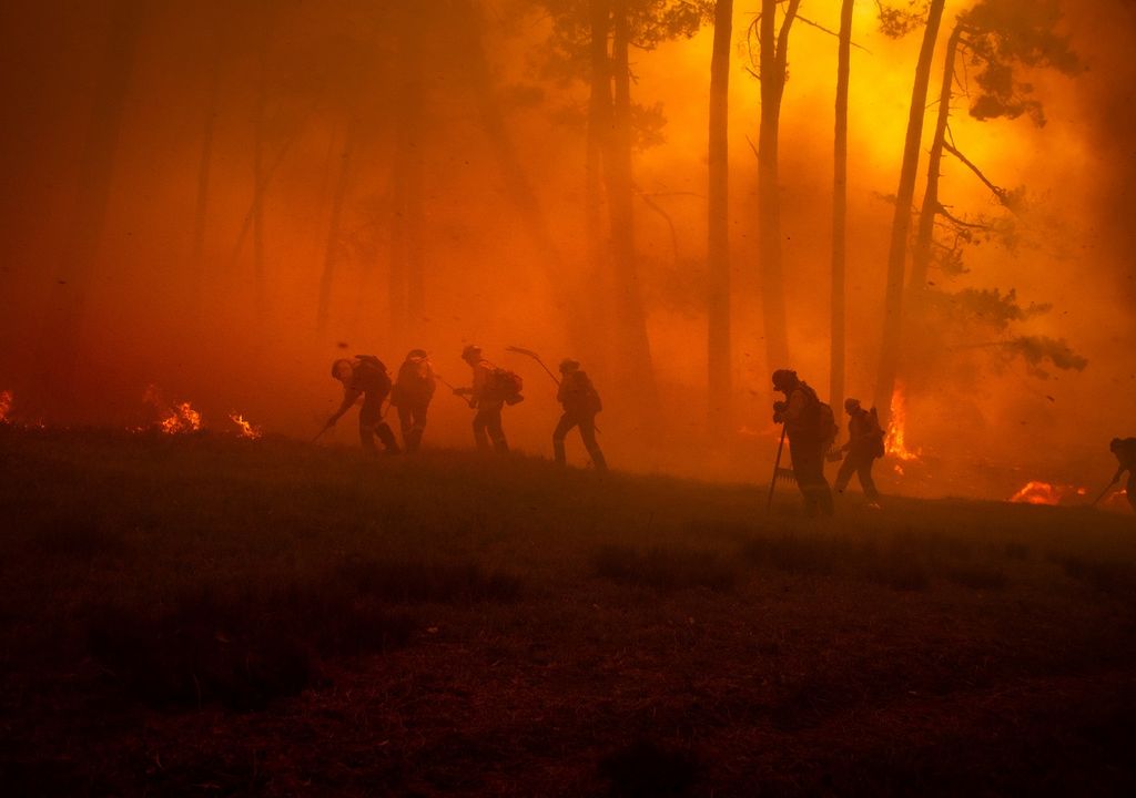 Incendio forestal; brigadistas; combate a un incendio