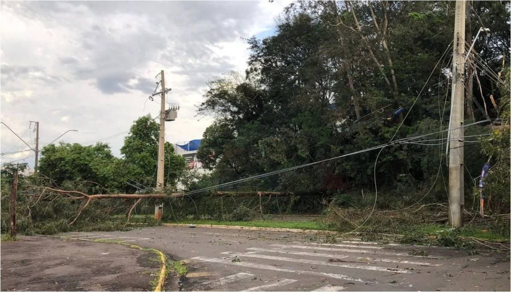 Árvores e postes foram derrubados durante forte temporal nesta terça-feira (29) em Umuarama. Crédito: Divulgação Redes Sociais.