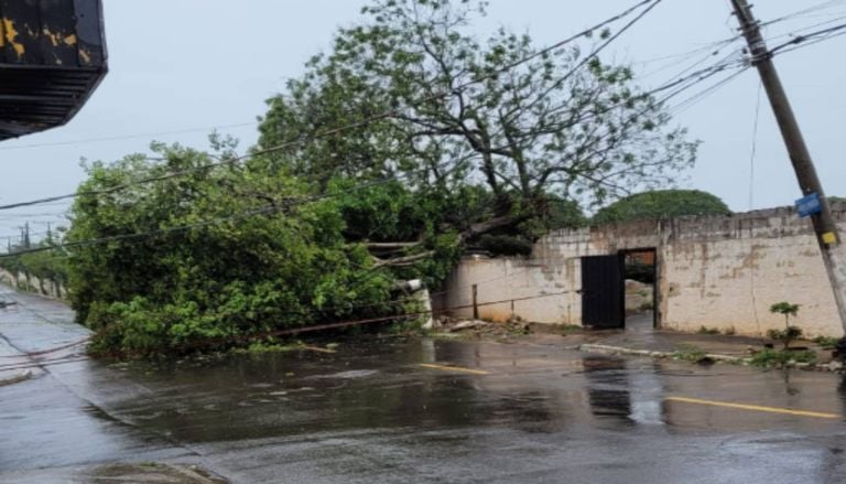 Temporais e ventos de 86 km/h causam falta de energia e estragos em SP; veja imagens