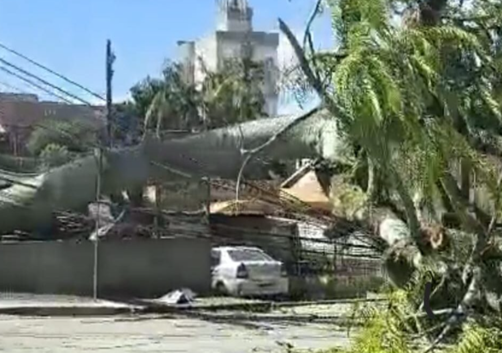 Joinville também sofre com interrupção elétrica em bairros da zona sul após queda de árvores. Joinville também sofre com interrupção elétrica em bairros da zona sul após queda de árvores.