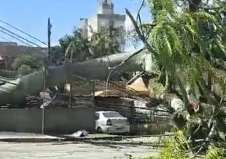 Ciclone: temporais e ventos fortes provocam crise no fornecimento de água e energia em SP e SC