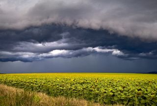 Temporais voltam a ocorrer no Sul do Brasil