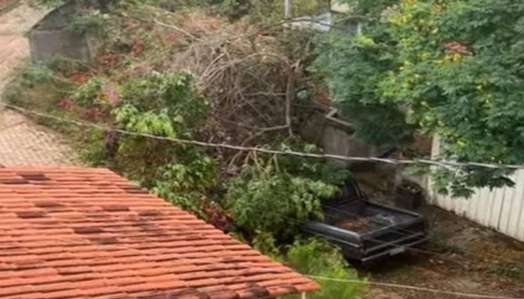 Árvore cai sobre carro em Minas Gerais. Foto: Redes Sociais Árvore cai sobre carro em Minas Gerais. Foto: Redes Sociais