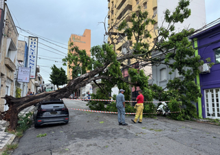 Temporal com granizo e vento forte causa danos em Sorocaba, Votorantim e cidades vizinhas; veja imagens