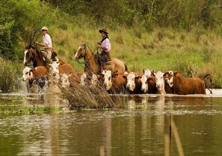 El temporal que azotó Corrientes tendrá un impacto negativo en la producción agrícola y ganadera