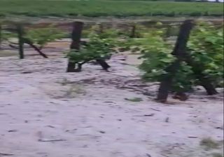 Temporal de granizo volta a atingir fortemente o interior Norte de Portugal: veja as imagens!