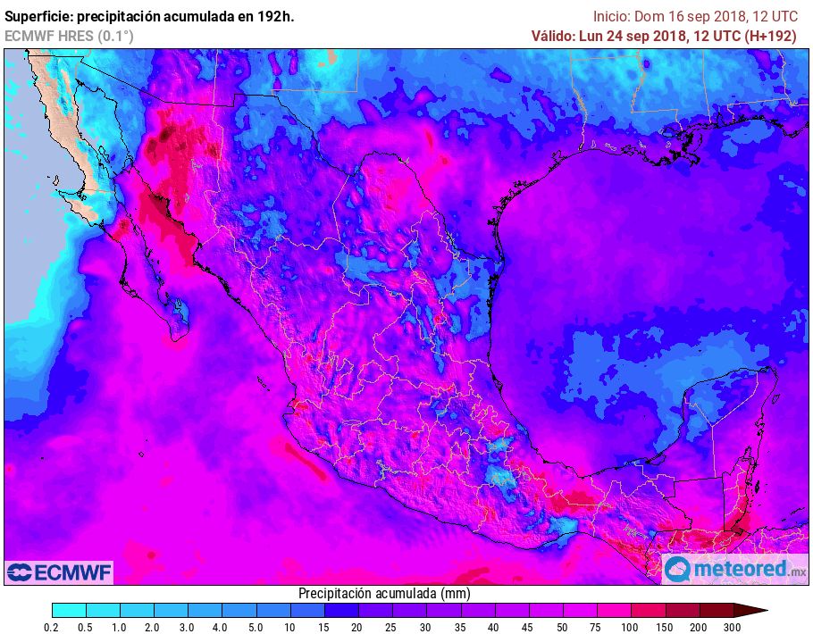 ECMWF ECMWF
