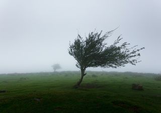 Temporal en la costa durante el inicio del fin de semana de carnaval