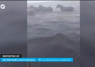 Temporal extremo y desborde: m&aacute;s de 100 evacuados y el campo bajo agua en el norte argentino
