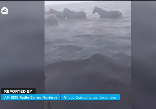 Temporal extremo y desborde: m&aacute;s de 100 evacuados y el campo bajo agua en el norte argentino