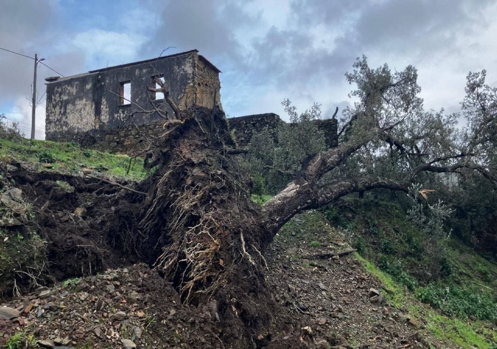 Temporal Kristin Los efectos del paso de la borrasca Kristin por Figueiró dos Vinhos. Foto: reproducción Facebook/Amigos de Figueiró dos Vinhos - Meteored España