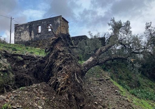 Temporal hist&oacute;rico en Portugal: vientos de m&aacute;s de 200 km/h, apagones masivos y decenas de municipios en emergencia