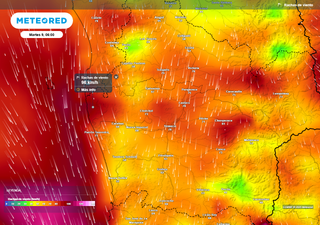 Temporal no dará tregua en la Región de La Araucanía: rachas de viento sobre los 80 km/h entre lunes (08) y martes (09)