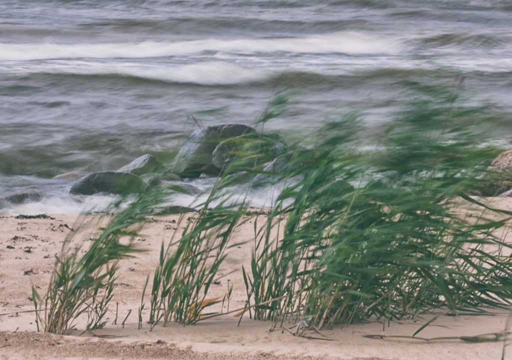 Temporal de viento en la Región de La Araucanía, Meteored, Chile Temporal de viento en la Región de La Araucanía, Meteored, Chile