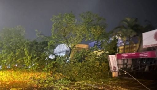 Temporal no PR tem ventos de 72 km/h, granizo e queda de 22 &aacute;rvores; veja imagens