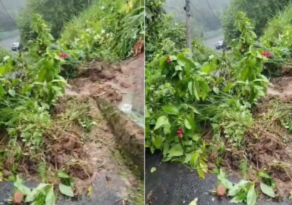 Deslizamento no Morro José Menino, em Santos (SP) — Foto: Arquivo Pessoal/Priscila de Ornelas Gomes