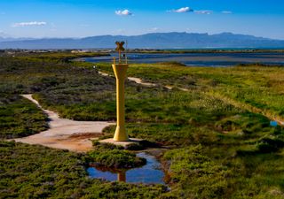 Temporales que acaban de rematar el Delta del Ebro