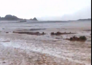 Temporali e alluvioni lampo nel deserto: i video