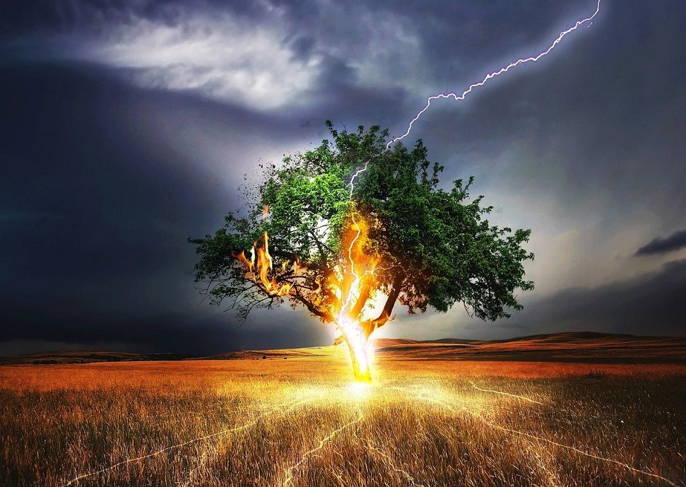 fulmine-temporale-albero fulmine-temporale-albero