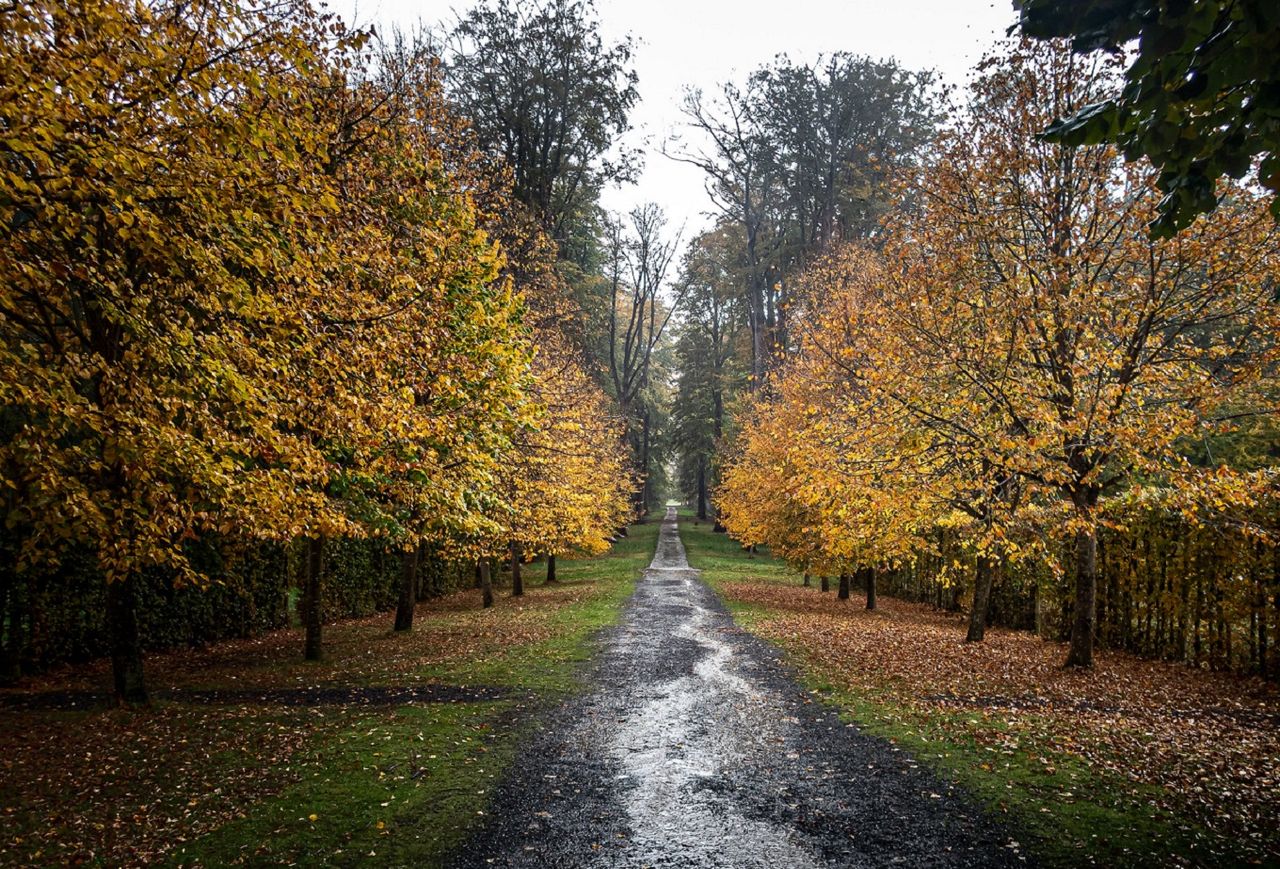 Ce premier mois de l'automne météorologique pourrait être très pluvieux dans certaines régions.