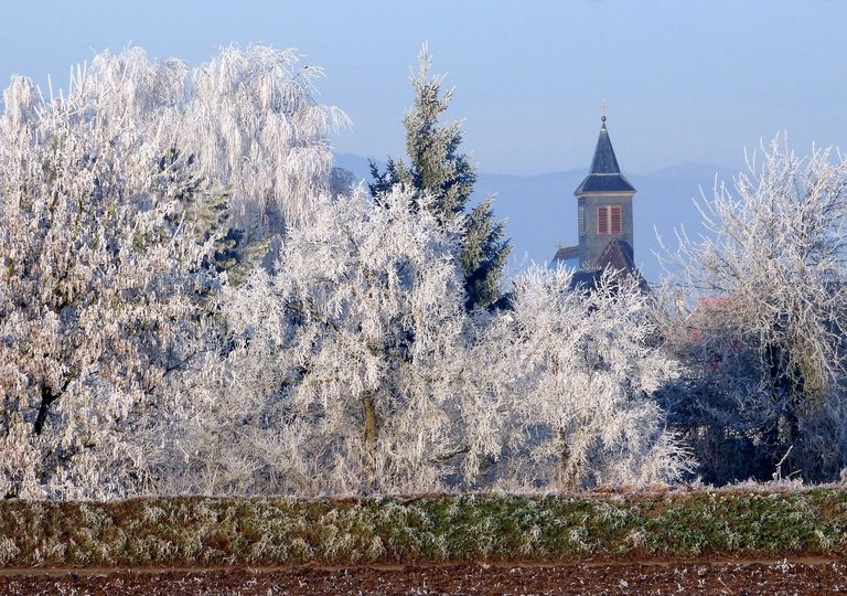 Les gelées seront très marquées en matinée en Alsace ce week-end. Les gelées seront très marquées en matinée en Alsace ce week-end.