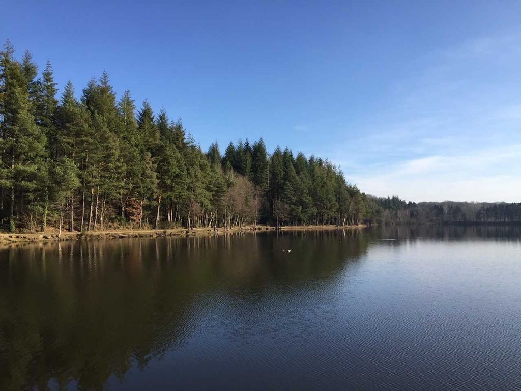 Le bleu devrait à nouveau dominer dans le ciel de France en deuxième partie de mois, avec le renforcement de l'anticyclone.