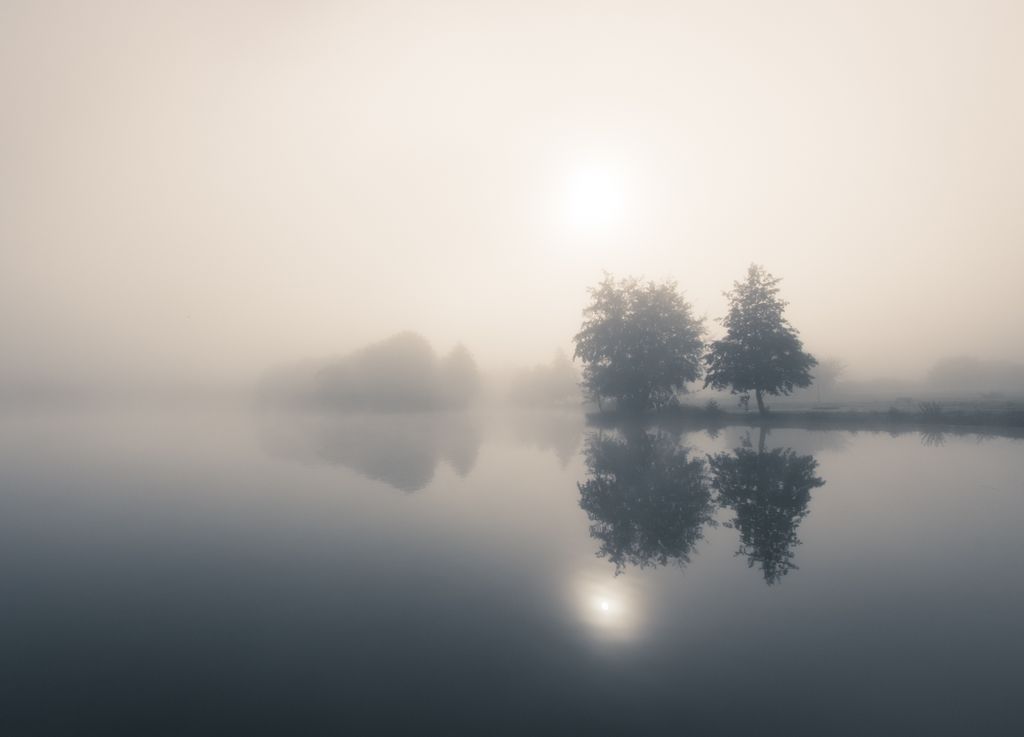 brouillard brouillard