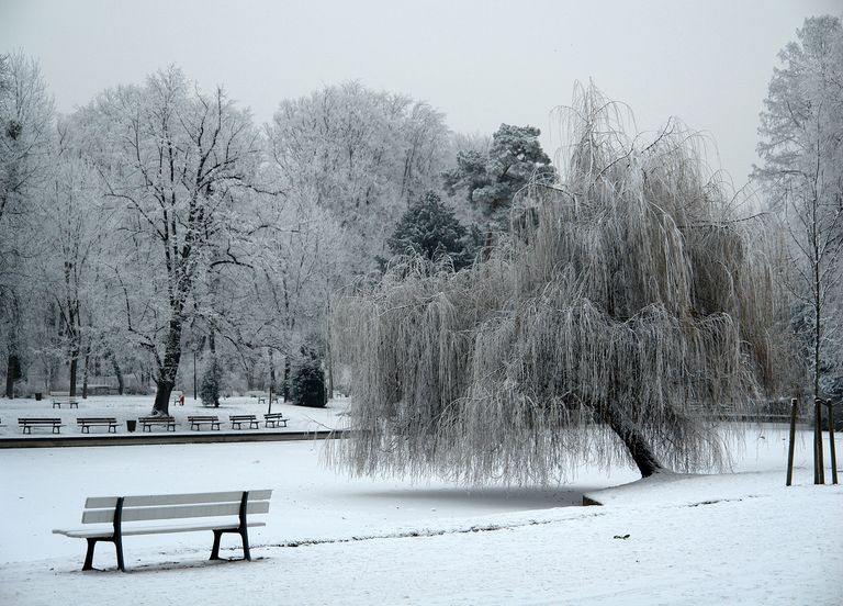 Strasbourg neige Strasbourg neige