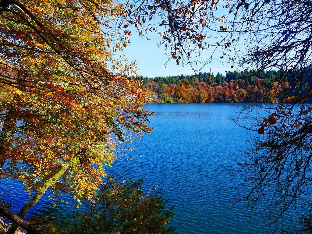 Si le mois de novembre débutera sous le soleil, la pluie pourrait revenir en force en deuxième partie de mois.