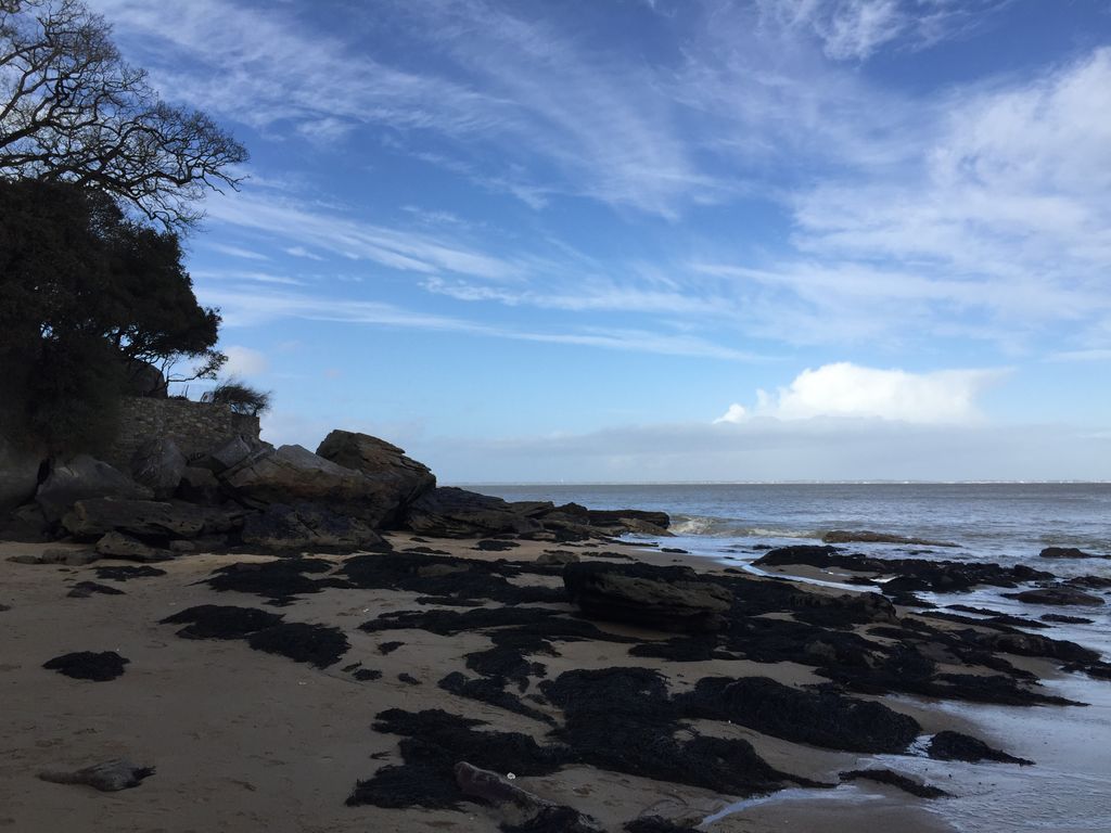 Après le retour du soleil en mars, ce mois d'avril sera-t-il synonyme de l'arrivée des premières chaleurs de l'année ?