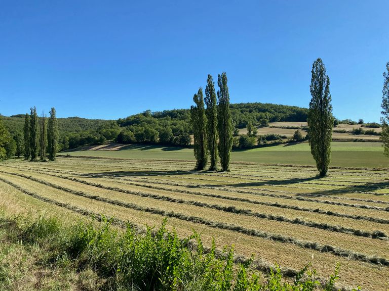 Tendance météo fin juillet : l'été s'installe pour de bon ! Tendance météo fin juillet : l'été s'installe pour de bon !