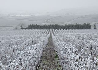 Tendance météo : invasion d'air froid, neige et gelées inquiétantes !