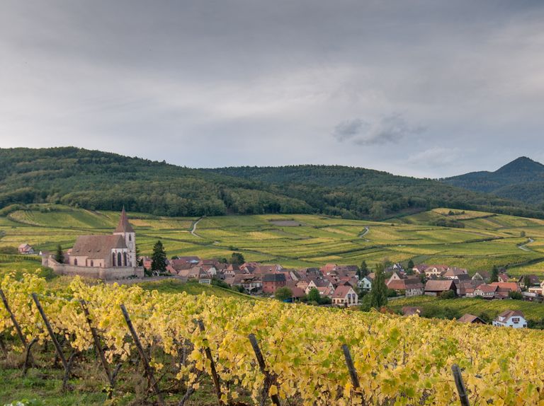 Tendance météo : vers un net changement de temps mi-octobre ? Tendance météo : vers un net changement de temps mi-octobre ?