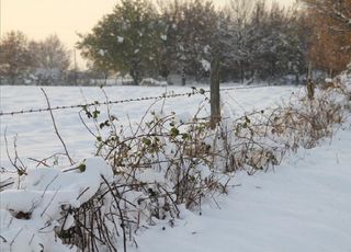 Tendance mois de décembre : froid et neige vont-ils s’imposer ? À quoi s’attendre pour les fêtes ?