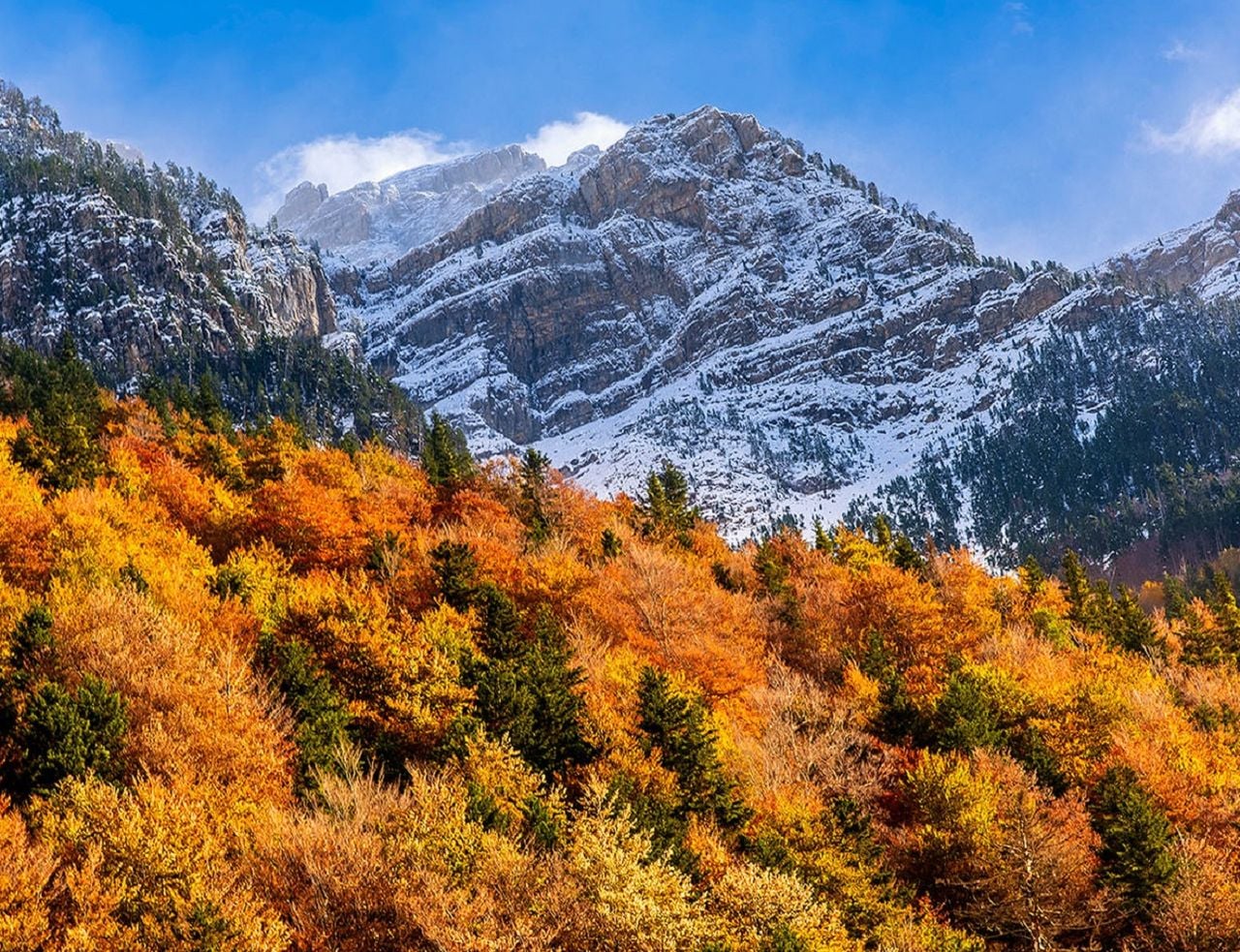Cette fin d'année s'annonce très partagée, entre un mois de septembre humide, un air d'été indien en octobre et un début d'hiver bien froid...