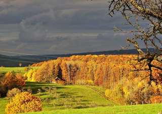 Tendances saisonnières : que vont nous réserver l'automne et l'hiver en France ? Voici ce qu'il vous attend ! 