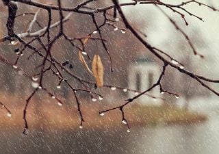 Tendencia mensual climática: ¿Abril, lluvias mil?