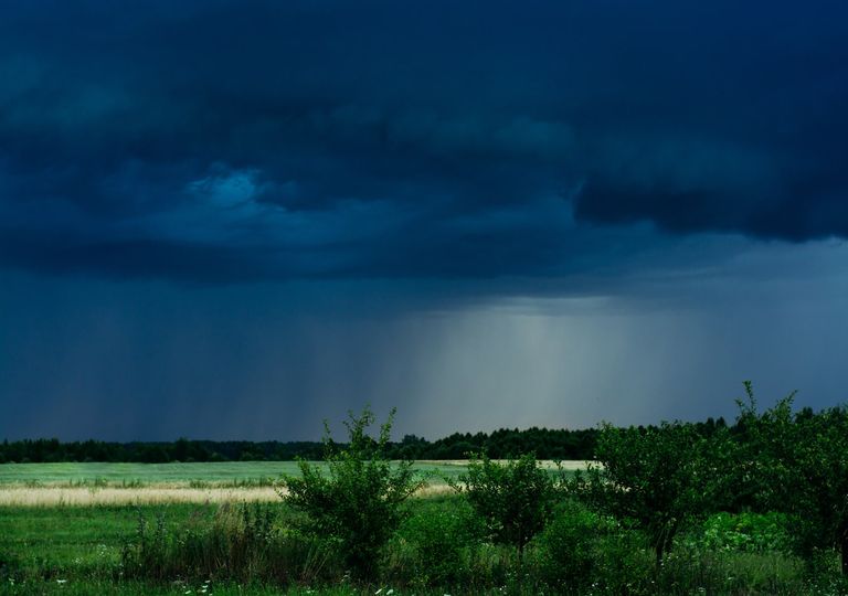 Lluvias, Otoño, Cultivos, Siembra, Cosecha, maíz, soja, trigo, cebada Lluvias, Otoño, Cultivos, Siembra, Cosecha, maíz, soja, trigo, cebada