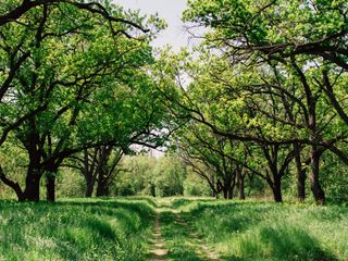 Tendencia climática para el mes de octubre