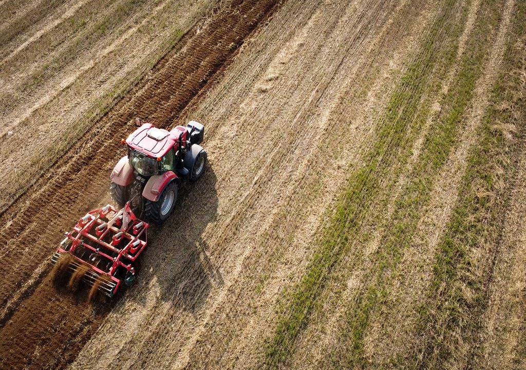 Deficit lluvias El déficit de precipitaciones, que puede ser persistente en sectores de la zona núcleo en el otoño, puede complicar a la agroindustria.