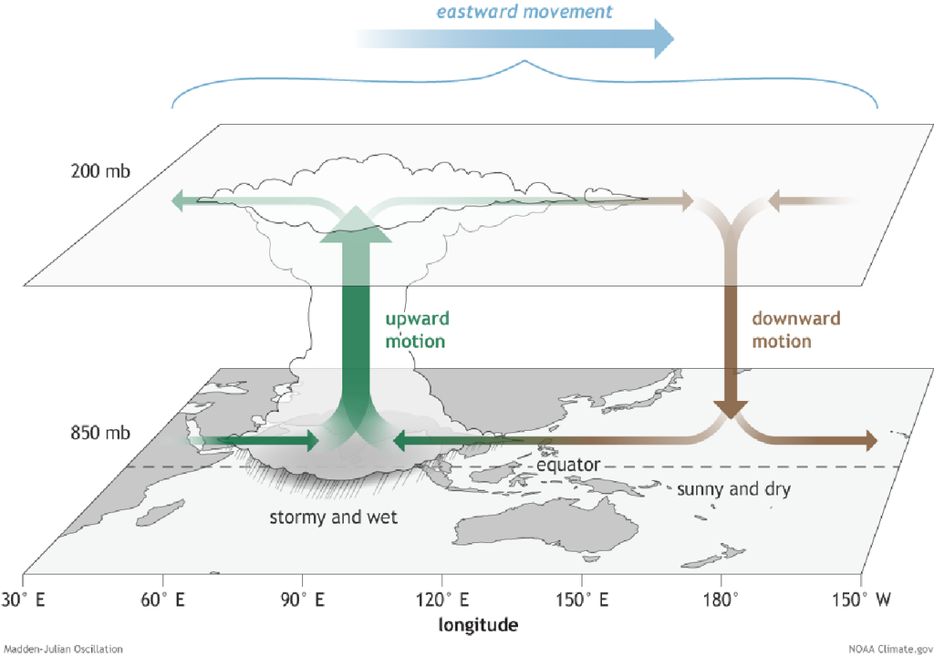 Esquema básico de la Oscilación Madden-Julian