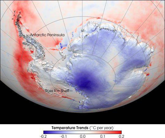 Tendencias De Las Temperaturas De La Antártida 1982-2004
