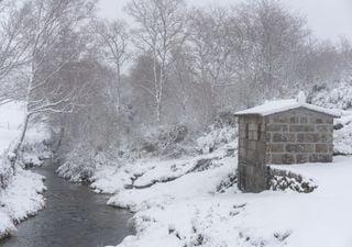 Tendências do tempo no inverno de 2024-2025 em Portugal: o modelo de referência da Meteored prevê uma mudança drástica